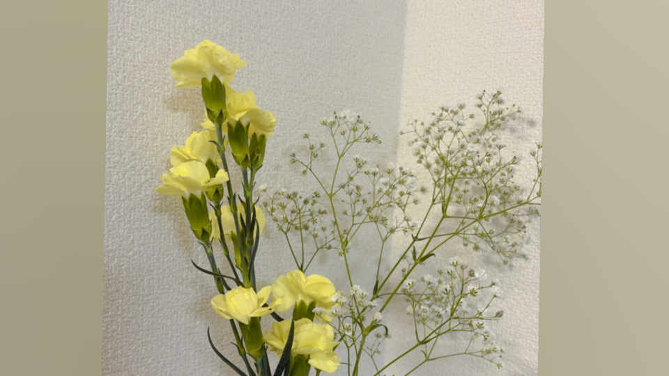 お部屋に新しいお花飾った🌼*･