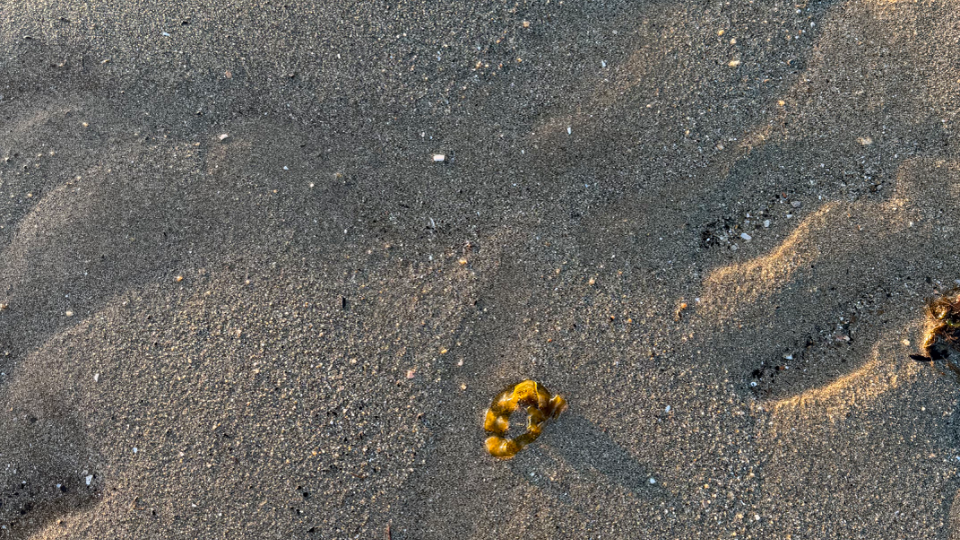 今日めっちゃ暖かいよね？！暖房いらない笑