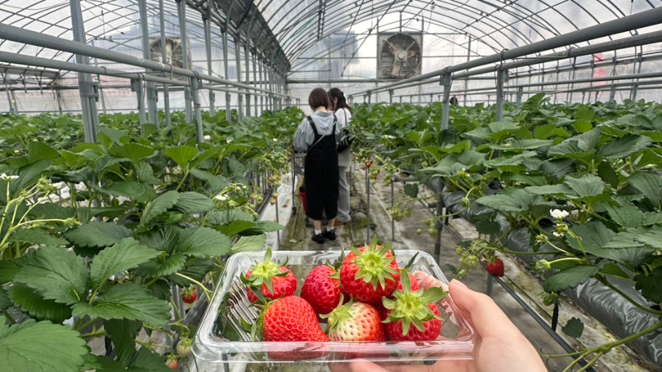 久しぶりに集まれて幸せ♡次は何年のに4人揃うのでしょうか…