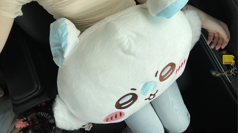 愛しのモモンガをゲット😭✨この大きさ(40ｾﾝﾁ)伝わってる⁉️🫪