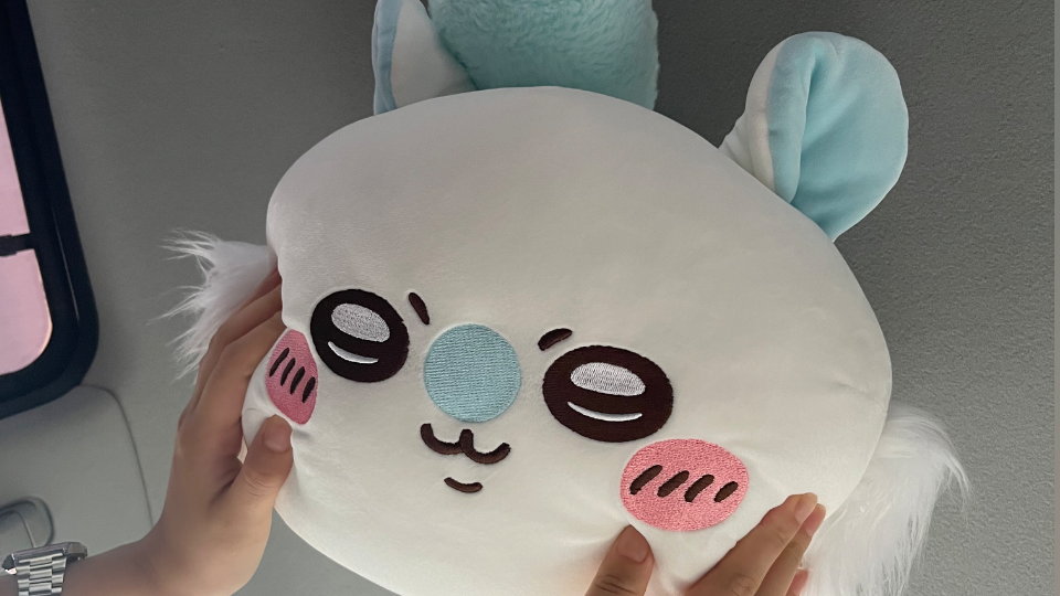 これはリーゼントに見えるモモンガのしっぽ😹🩵やっぱりモモンガが1番ｶﾜｲｲ🥹