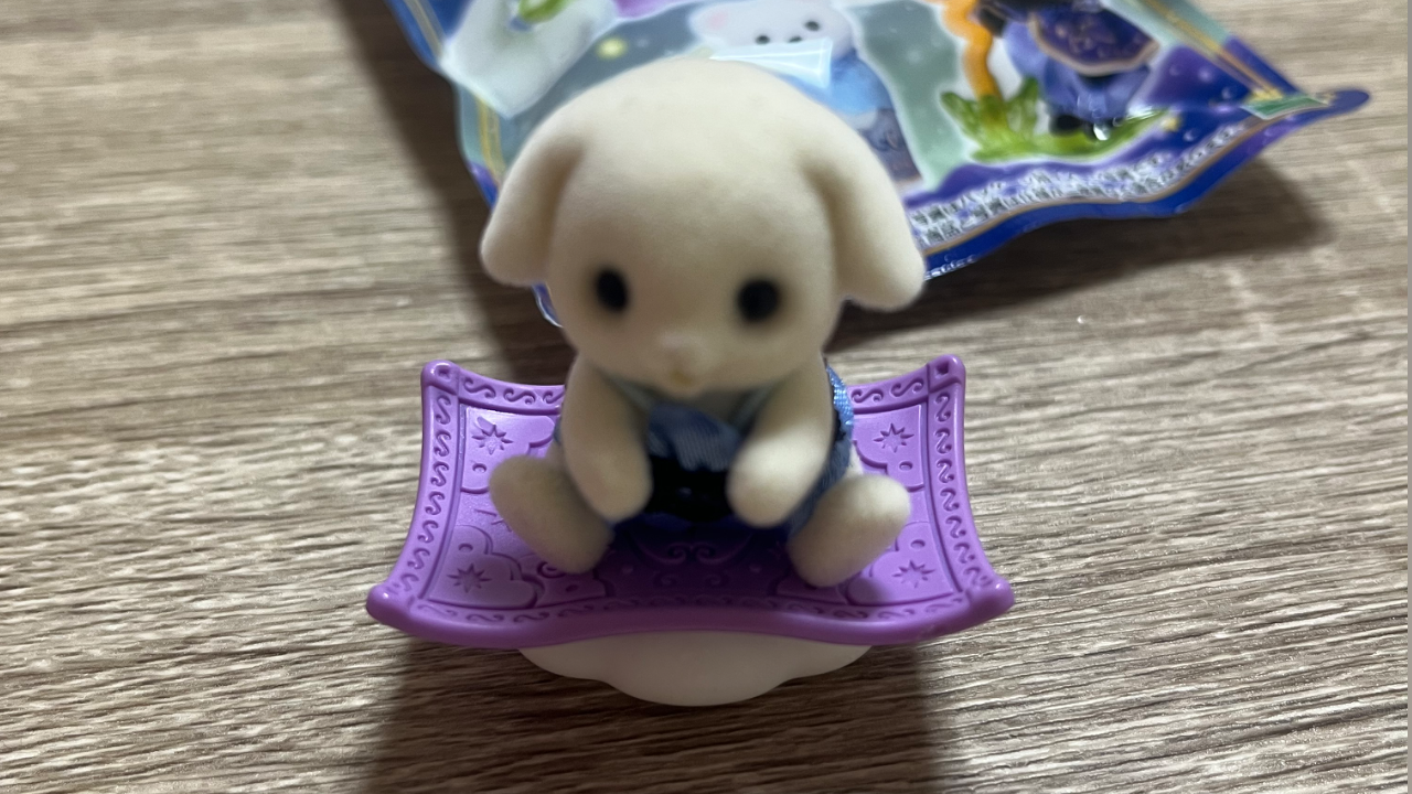 メロいの正体は父性らしい。ムズすぎやろがい🤚🏻シルバニア買ったよ✨🥹