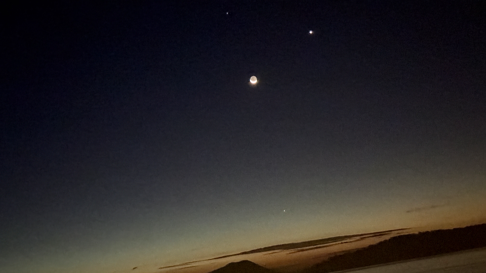 お花見しようと思ったらお花散ってた。