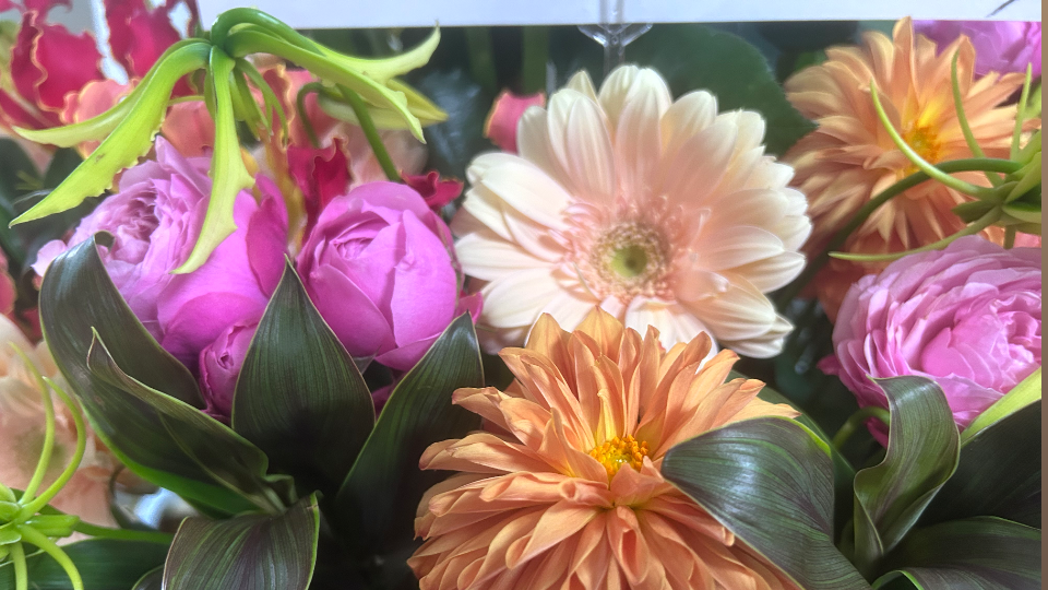 早めにお店に来たらお花がおった🌷´-