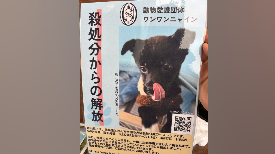（※BLOG更新※）