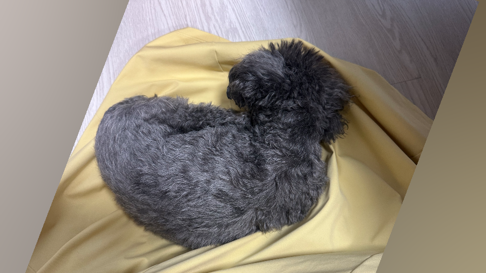 （※BLOG更新※）
