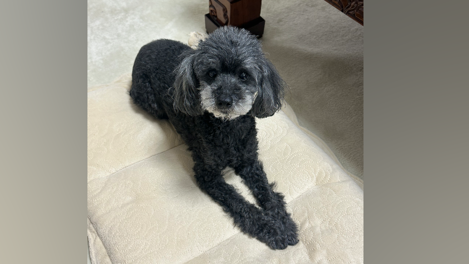 （※BLOG更新※）