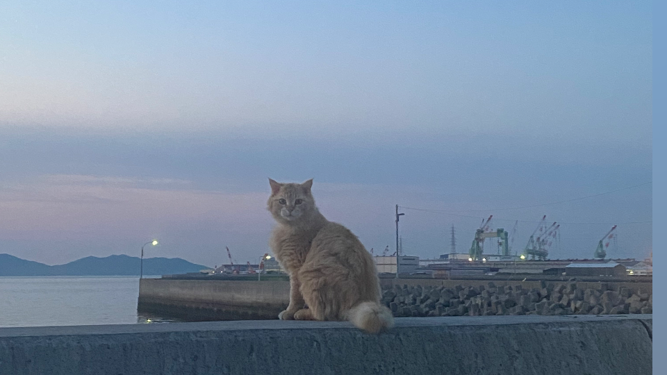 休みの日皆さんどれくらい寝るー？😴