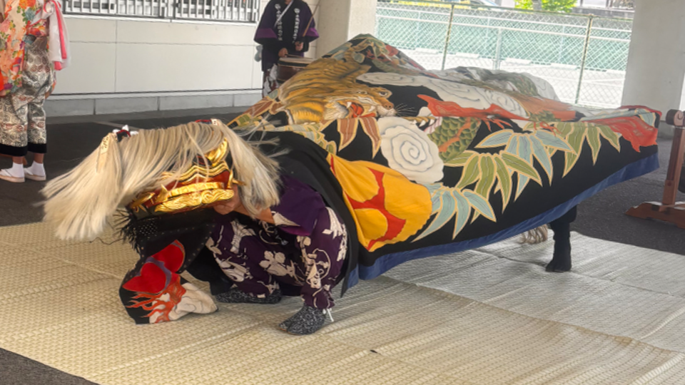 獅子見てきた‼️