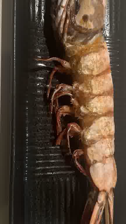 ホストクラブ15ムービー