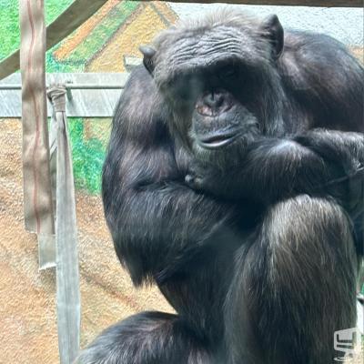 高知市ホストクラブ2026-09-24 18:26:46のお気に入り写真