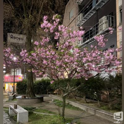 高知市ホストクラブ2026-04-09 16:56:35のお気に入り写真