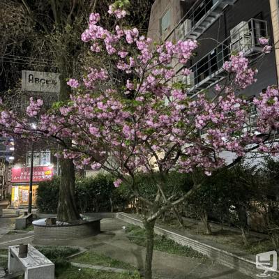 高知市ホストクラブ2026-04-09 16:57:54のお気に入り写真