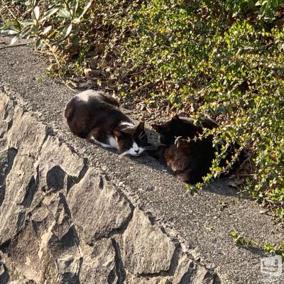 伯理ののお気に入りの写真