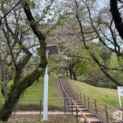 高知市ホストクラブ2026-04-28 16:31:49のお気に入り写真