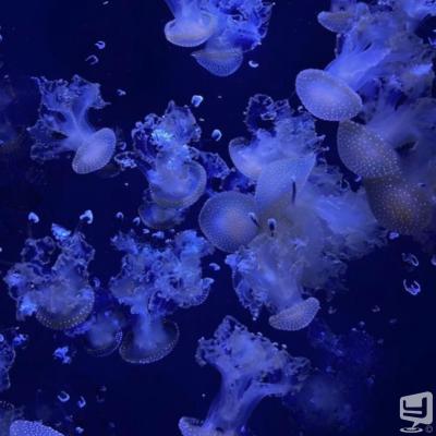 高知市ホストクラブ2026-04-29 17:21:49のお気に入り写真