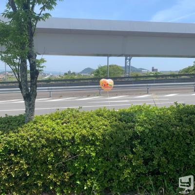 高知市ホストクラブ2026-05-03 18:30:12のお気に入り写真