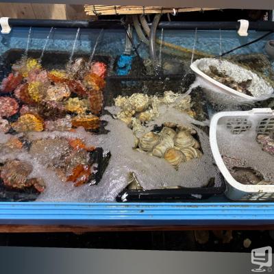 高知市ホストクラブ2026-07-05 18:56:48のお気に入り写真
