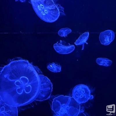 高知市ホストクラブ2026-08-27 18:01:29のお気に入り写真