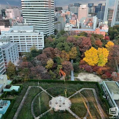 鶴ののお気に入りの写真