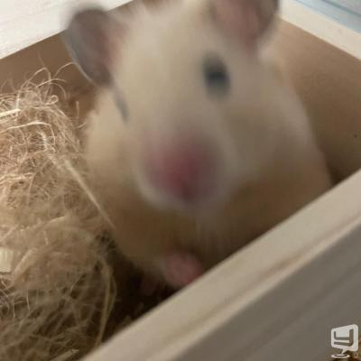 高松市ホストクラブ2025-07-08 16:50:07のお気に入り写真