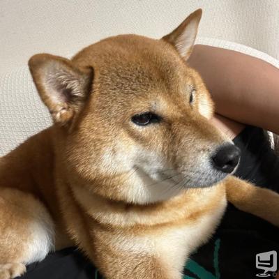 高松市ホストクラブ2025-09-04 19:16:51のお気に入り写真