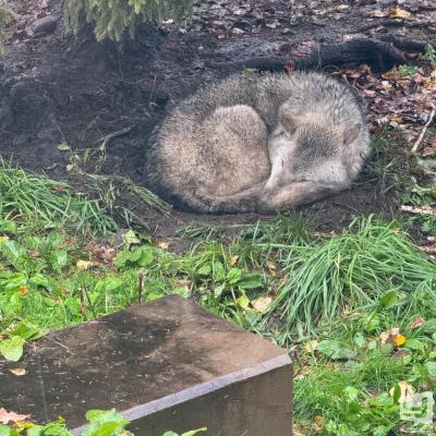 海斗ののお気に入りの写真