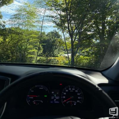 はるののお気に入りの写真