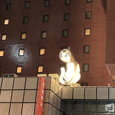 燈ののお気に入りの写真