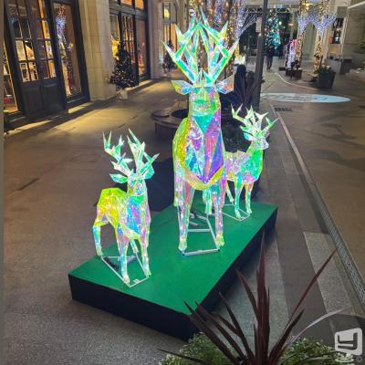 アキののお気に入りの写真