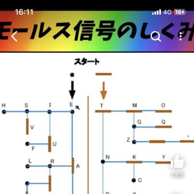 今日の一枚