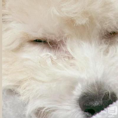 狐珀ののお気に入りの写真