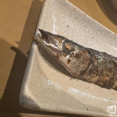 天照陽ののお気に入りの写真