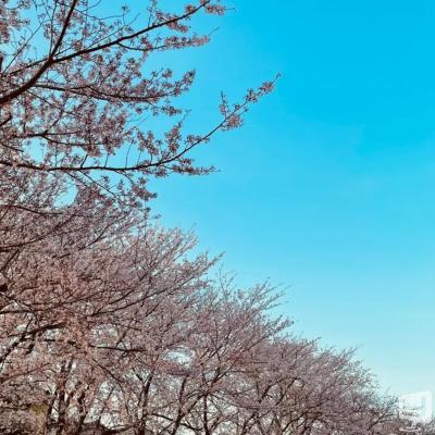 あいきののお気に入りの写真