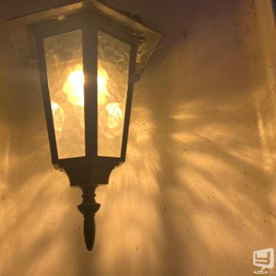 ダイヤののお気に入りの写真