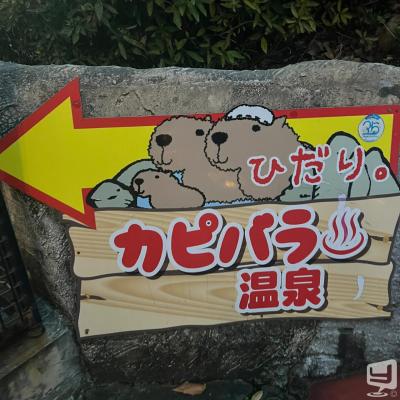 ダイヤののお気に入りの写真