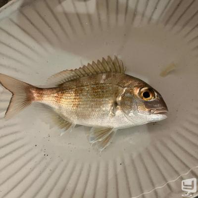 ダイヤののお気に入りの写真