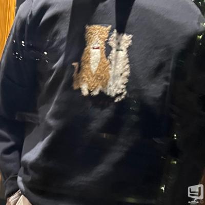 ダイヤののお気に入りの写真