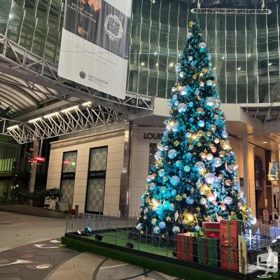 ダイヤののお気に入りの写真