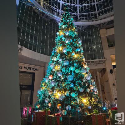  Destiny-acro- Sののお気に入りの写真