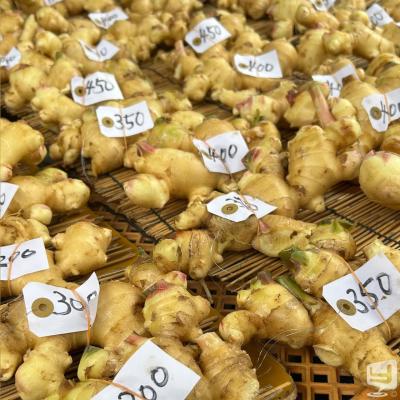 高松市ホストクラブ2026-05-18 23:47:52のお気に入り写真