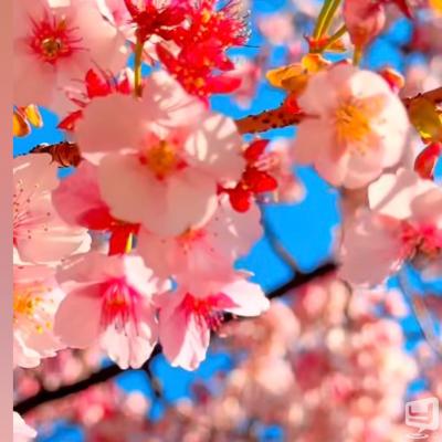 高松市ガールズバー2026-04-05 14:39:37のお気に入り写真