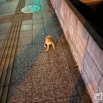 鳴海　結愛叶ののお気に入りの写真