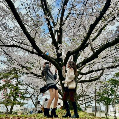 丸亀市スナック2026-04-14 19:58:12のお気に入り写真