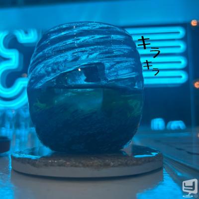 高松市ラウンジ2026-03-17 16:48:42のお気に入り写真