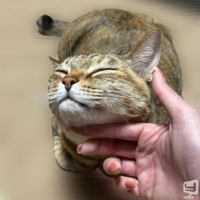 高松市ラウンジ2026-03-23 14:29:17のお気に入り写真