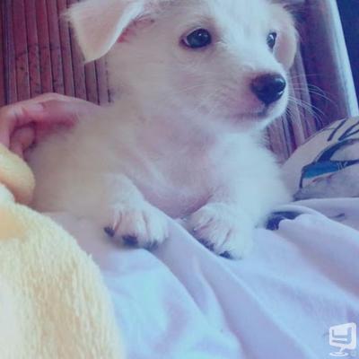 りんののお気に入りの写真