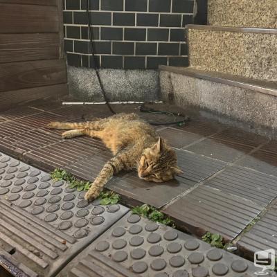高松市ラウンジ2026-07-25 16:18:05のお気に入り写真