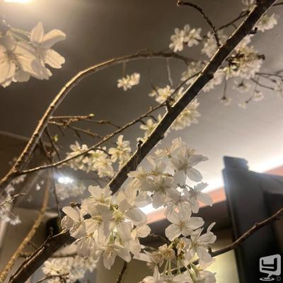 高松市ラウンジ2026-04-07 23:51:29のお気に入り写真