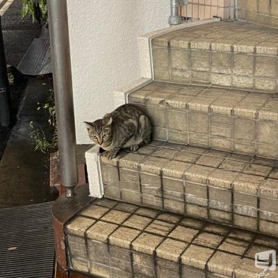 高松市ラウンジ2026-09-08 03:55:01のお気に入り写真